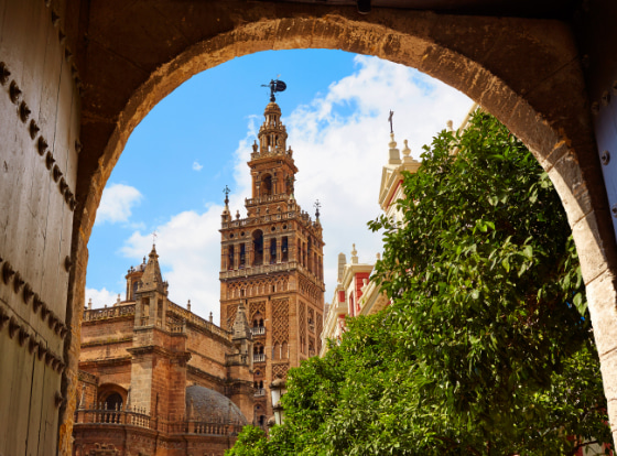 Partial view of Seville Cathedral